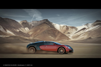 hier m�sste dann das BIld sein